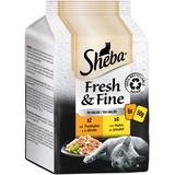 Sheba Fresh & Fine in Gelee - Hochwertiges Katzen Nassfutter - Huhn und Truthahn - Für die tägliche Abwechslung im extra kleinen Portionsbeutel - 36 x 50g