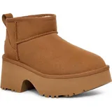 chestnut 36