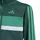 adidas Tiberio Trainingsanzug Collegiate Green/Court Green 140