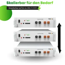 pytes Spezial-Akku LiFePO 4 48 V/DC 100 mAh 1 St.