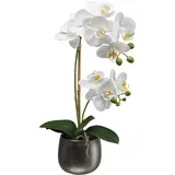 Creativ green Kunstorchidee »Orchidee Phalaenopsis« mit real-touch-Blüten, weiß
