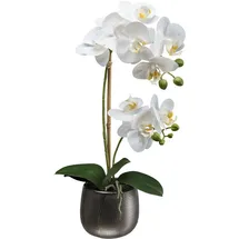 Creativ green Kunstorchidee »Orchidee Phalaenopsis« mit real-touch-Blüten, weiß