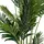 House Nordic House Nordic, Kunstpflanzen, Areca 175 cm,
