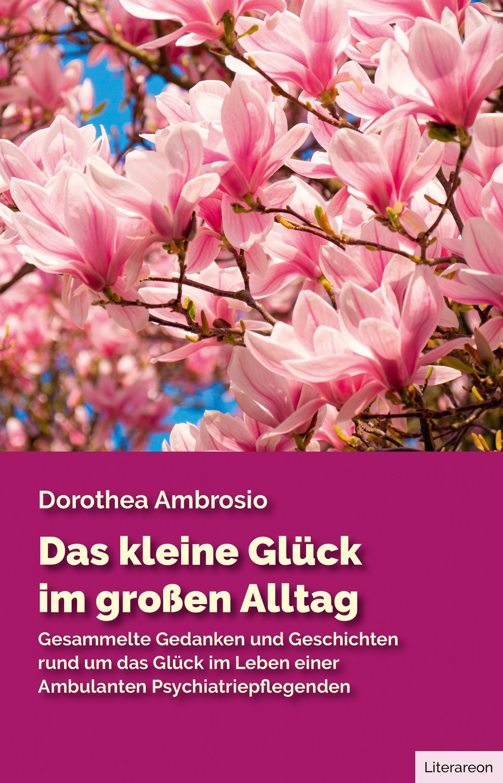 Das Kleine Glück Im Großen Alltag - Dorothea Ambrosio  Taschenbuch