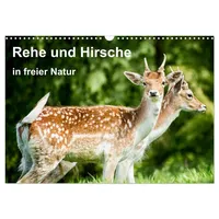 Calvendo Verlag GmbH Rehe und Hirsche in freier Natur