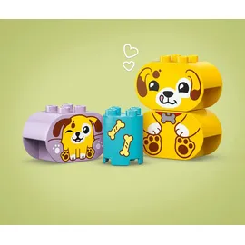LEGO Duplo Formsortierer Welpenhaus 10441