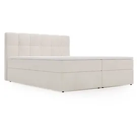 GRAINGOLD Boxbett mit Bettkasten 180x200 Beige Samt, Maison