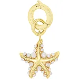 Amor Seestern Charm goldfarben 2038504