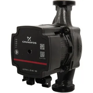 Grundfos Schwarz