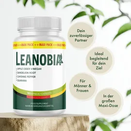 biovana Herbiotica Kapseln 90 St.