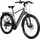 Saxonette X-Road 5.2 28 Zoll RH 48 cm Unisex grau, schwarz