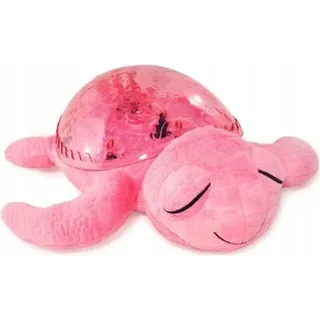 Cloud b Tranquil Turtle