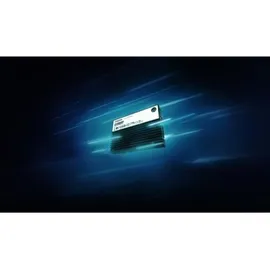 Kingston DC3000ME 7,68 TB U.2