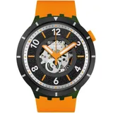 Swatch FALL-IAGE SB03G107