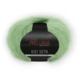 Pro Lana Kid Seta - Farbe: 77-25 g/ca. 210 m Wolle