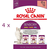 Royal Canin 48x 85g Royal Canin Sensory Multipack in Soße Katzenfutter nass