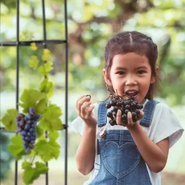 Relaxdays Obelisk 190 x 40 cm Schwarz