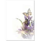 LYSCO Motivpapier A4 100 g/m2 100 Blatt