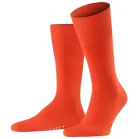 Falke Airport ziegel 43-44
