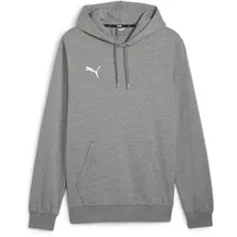 Puma teamGOAL Casuals Hoodie Herren 33 medium gray heather/white S