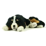 Kösen Berner Sennenhund liegend 4730