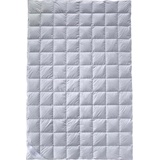 billerbeck Billerbeck, Duvet, Gabriela 90 (1400 g, 135 x 200 cm