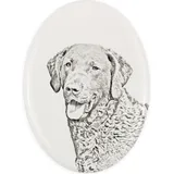 Chesapeake Bay Retriever - Gedenktafel mit einem Foto eines Hundes, Grabplatte mit Druck, personalisierte ovale Platte der Marke Art-Dog