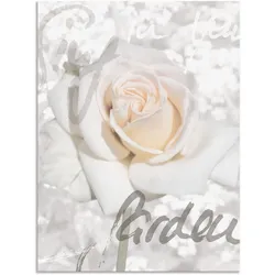 Wandbild ARTLAND "In Lettern - Rose", weiß (farbe bild(er): weiß), B:45cm H:60cm, Bilder, als Alubild, Outdoorbild, Leinwandbild, Poster in verschied. Größen