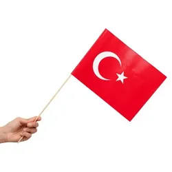 10 Papier Fahnen Türkei 20 x 30 cm Handfahnen