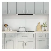 vidaXL Küchenrückwand 2 pcs Transparent 90 x 50 cm Gehärtetes Glas