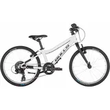BULL'S Tokee Lite 20 20 Zoll RH 31 cm grau