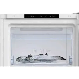 Beko RFNM200T40WN 