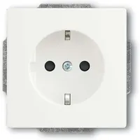 Busch-Jaeger Schuko-Steckdose 20 EUCRB-884 10 St.