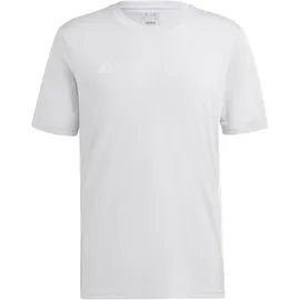 adidas Tabela 23 Fußball Trikot Herren IA9143 - team light grey/white 4XL
