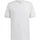 adidas Tabela 23 Fußball Trikot Herren IA9143 - team light grey/white 4XL