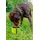 Nobby Reisenapf Rio neongrün 500 ml