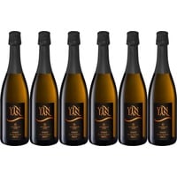 6x Vinian Brut Blanc de Noir, 2020 - Bottwartaler Winzer, Württemberg! Sekt/Qua...