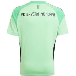 adidas FC Bayern München Torwarttrikot 2025/26 Kinder Gr. 164