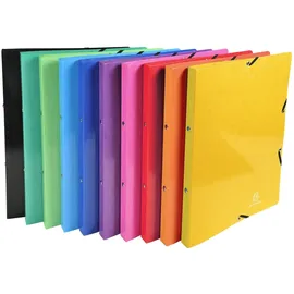 Exacompta Ringbuch Iderama A4, sortiert