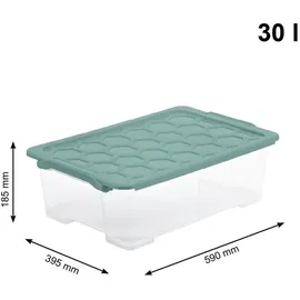 Rotho Aufbewahrungsbox EVO Safe 39,5 x 18,5 x 59 cm 30-tlg. grün