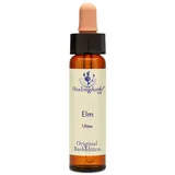 Bachblüten Elm Healing Herbs Tropfen 10 ml