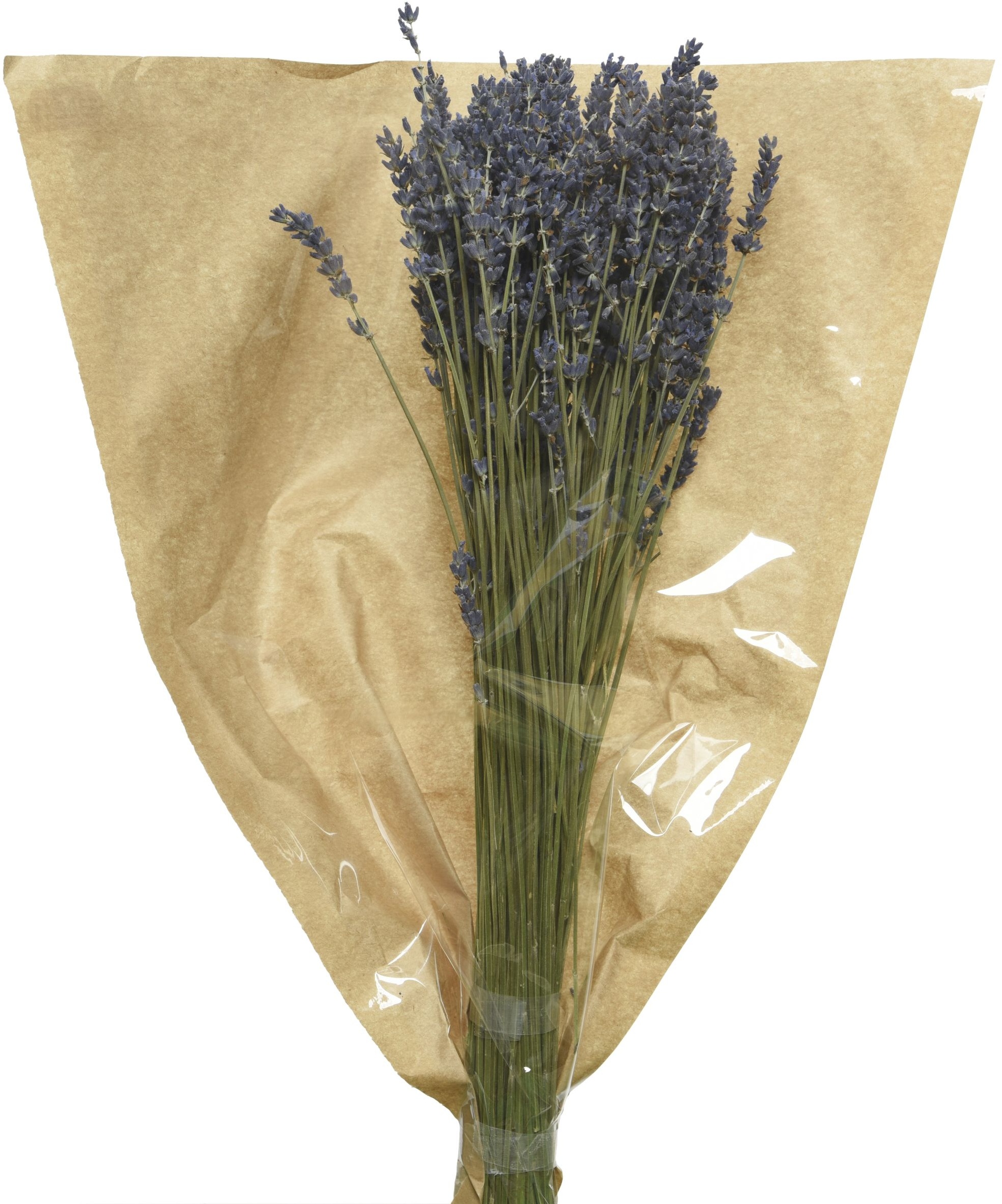 Lavendel getrocknet (H 50 cm) - lila