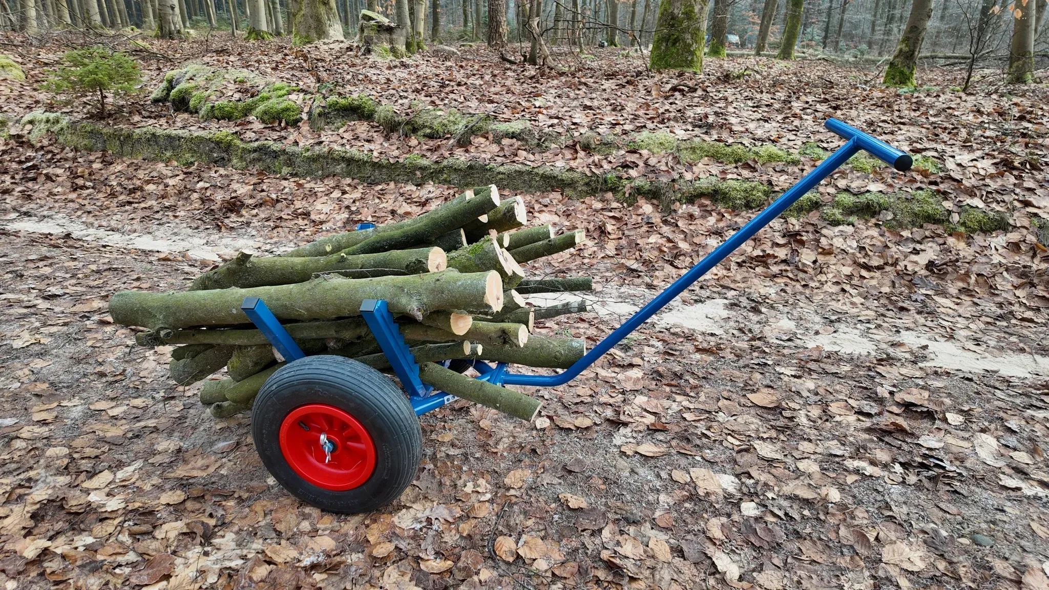 Transportwagen Holztrolley