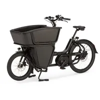 Urban Arrow Shorty Cargo Line schwarz