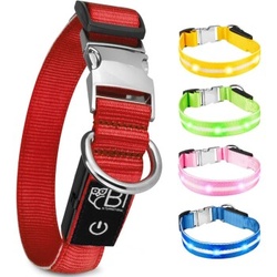 Petsation Leuchthalsband Hundehalsband rot M