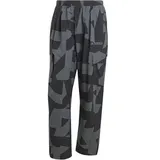 adidas Terrex Xploric Cargo Hosen Schwarz S