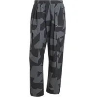 adidas Terrex Xploric Cargo Hosen Schwarz S