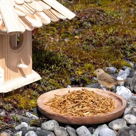 Lyra Pet Mehlwürmer getrocknet 5 x 10 l