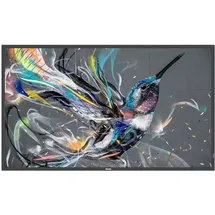 Philips Q-Line 65BDL3511Q/00 55"