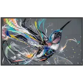 Philips Q-Line 65BDL3511Q/00 55"